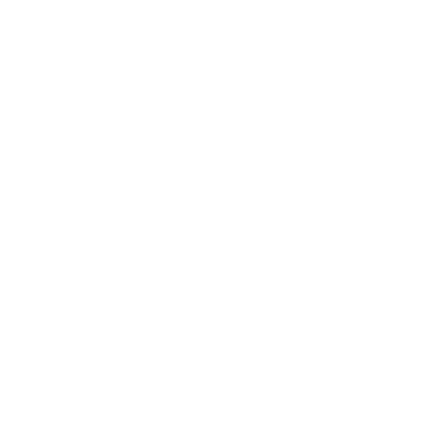 Eric Rothenberger Logo (white)